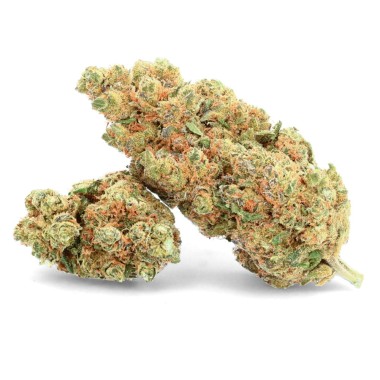 Fleurs de CBD OG cookie Ivory