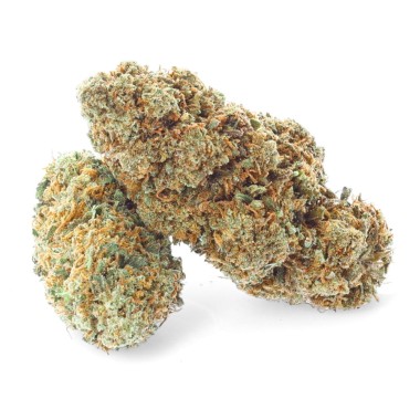 Harlequin 9% - Fleurs de CBD - Easy Weed