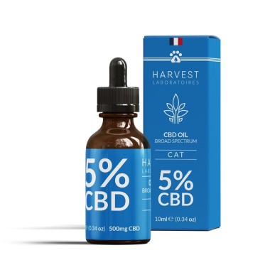 Huile CBD pour Chats - CBD.fr Pro