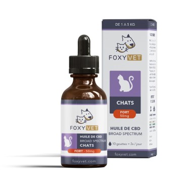 Huile de CBD pour chats - Foxyvet- CBD.fr Pro