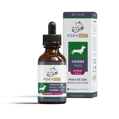 Huile CBD pour petits chiens - CBD.fr Pro