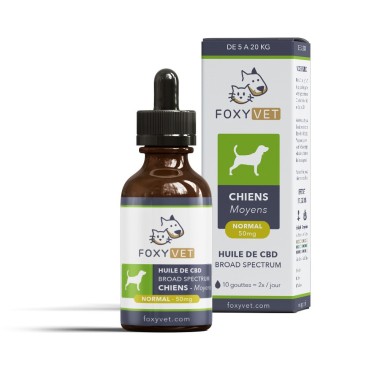 FOXYVET : Une huile de CBD pour chien sans THC - CBD.fr Pro