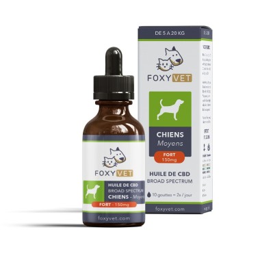 FOXYVET : Une huile de CBD pour chien sans THC - CBD.fr Pro