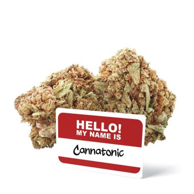 Fleur CBD Cannatonic Ivory - CBD.fr Pro