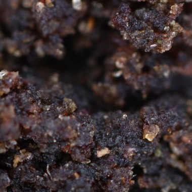 CBD Resin - Filtered CBD Pollen - 21.9% - macro