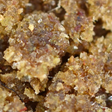 OG Kush CBD pollen 16% cheap on cbd.fr