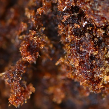 cheap IVORY CBD resin delivered in france on cbd.fr