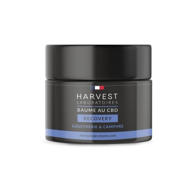 CBD Recovery Balm for wholesalers