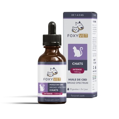 CBD oil for cats - Foxyvet- CBD.fr Pro