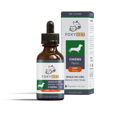 CBD oil for small dogs - CBD.co.uk Pro