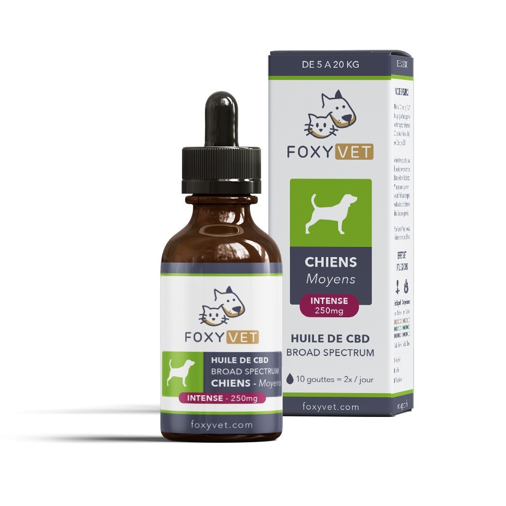 FOXYVET: THC-free CBD oil for dogs - CBD.co.uk Pro