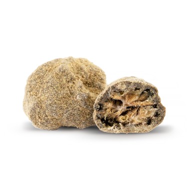 Moon Rock 44% CBD Ivory en cbd.es