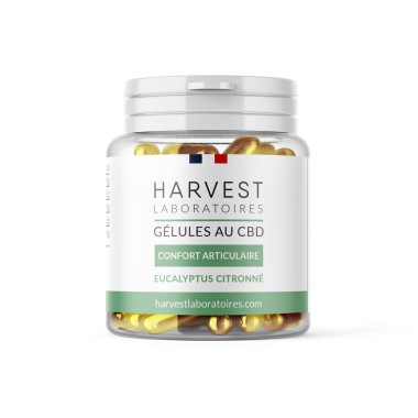Cápsulas de CBD para el dolor articular