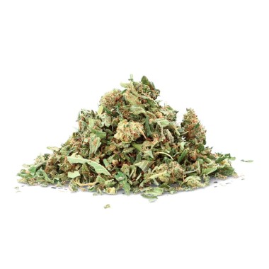 Flor de CBD Critical Cheese Ivory en cbd.es