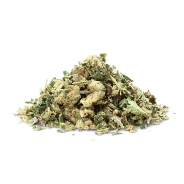 Flor de CBD Critical Cheese Ivory en cbd.es
