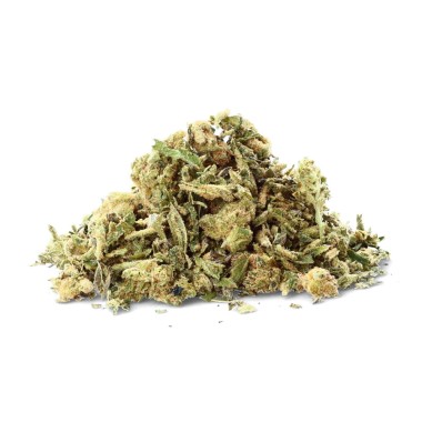 Crystal Skunk Marfil CBD Adorno Floral