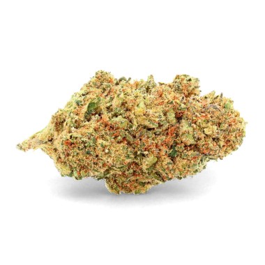 Flor de CBD suiza de interior