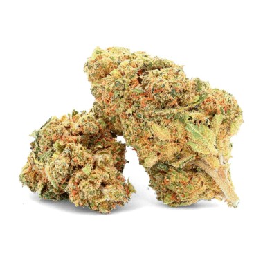 Flor de CBD suiza de interior