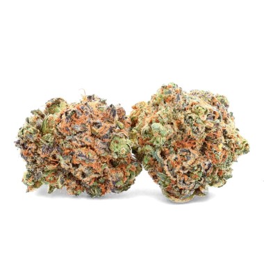 CBD White Widows flores suizas de interior