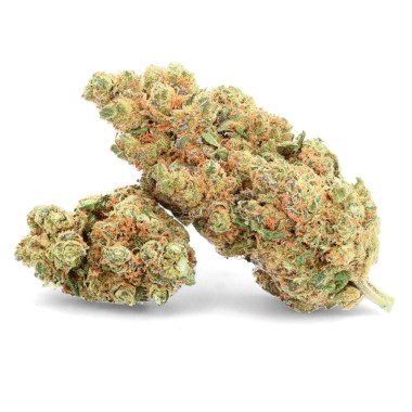CBD OG galleta Flores de marfil