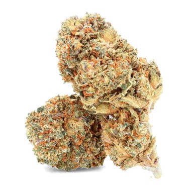 Flores de CBD marfil de primera calidad