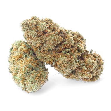 Harlequin 9% - CBD flores - Easy Weed