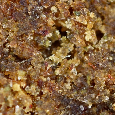 Resina CBD - CBD Polen Amarillo - 13.8% - macro