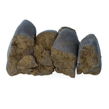 Polen King Hassan CBD - 13% - barato