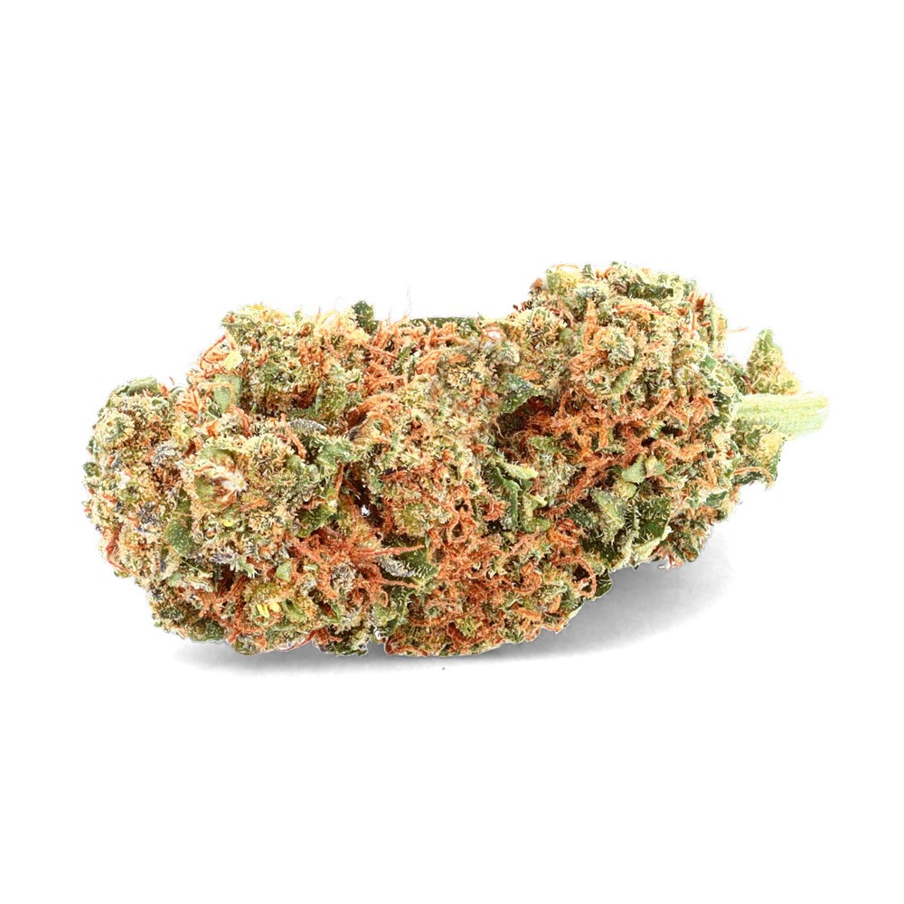Fleur de chanvre indoor france - Lemon Haze Fleur de chanvre indoor france - Lemon Haze