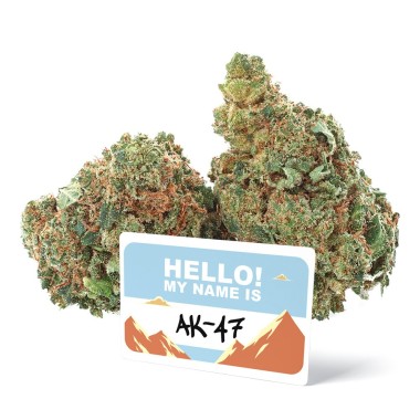 CBD Flor AK-47 de Marfil - CBD.es Pro