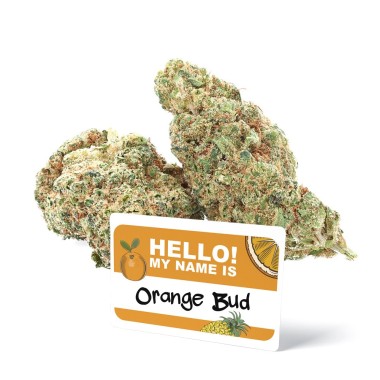 Orange Bud CBD Flor de Marfil - CBD.es Pro