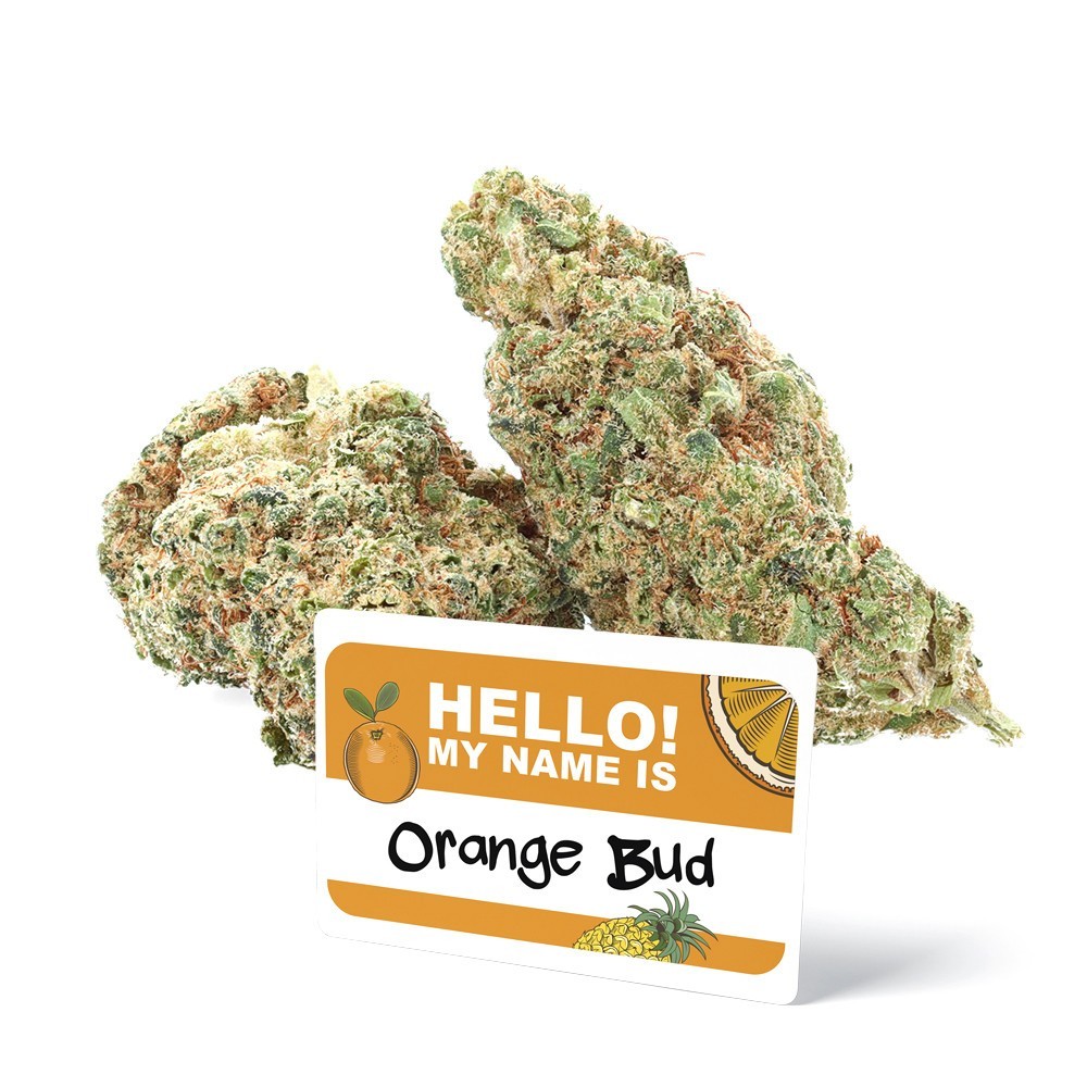 Orange Bud CBD Flor de Marfil - CBD.es Pro Orange Bud CBD Flor de Marfil - CBD.es Pro